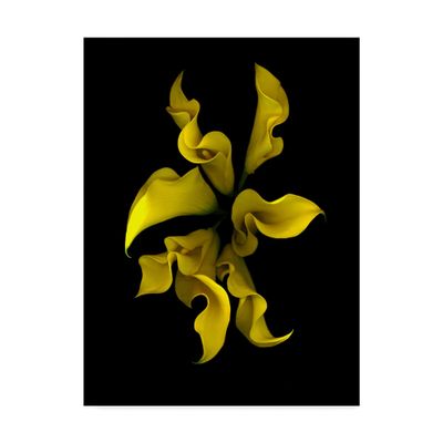 Susan S. Barmon 'Calla Lilies 4' Canvas Art
