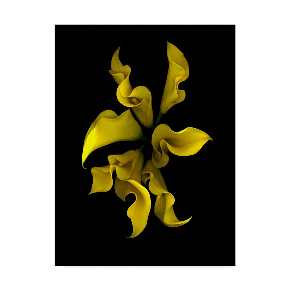 Susan S. Barmon 'Calla Lilies 4' Canvas Art