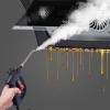 1600 Watt Steam Cleaner, High Pressure Steam Cleaning System Guns view 1