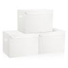 Bagnizer Large 17" 42 Quarts Collapsible Stackable Storage Bins with Lids [3-Pack] Foldable Fabric Linen Storage Boxes Cube, Closet Organizer Baskets with Label (16.7 x 12 x 12, White) view 1