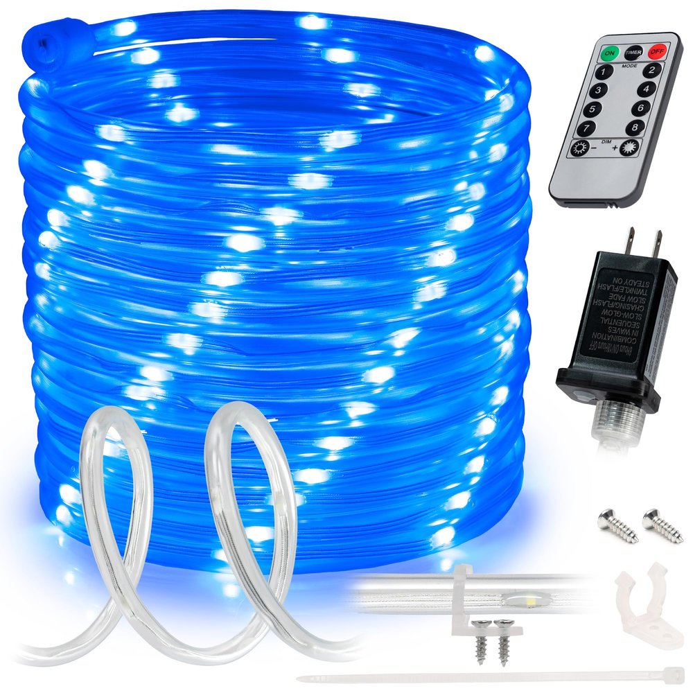 WYZworks 25ft Blue LED Rope Light - 8 Modes, Waterproof Outdoor Accent Lighting with Remote, Flexible Clear Tube, ETL Certified, Garden, Patio, Backyard, Holiday Christmas, Palm Tree, Ambient Decor
