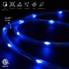 WYZworks 25ft Blue LED Rope Light - 8 Modes, Waterproof Outdoor Accent Lighting with Remote, Flexible Clear Tube, ETL Certified, Garden, Patio, Backyard, Holiday Christmas, Palm Tree, Ambient Decor view 2