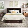 AFI, Chelsea Mid-Century Modern Queen Solid Wood Murphy Bed Chest with 6" Mattress, Storage Drawer & Built-in USB Charger, Espresso view 3