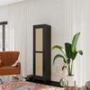Ameriwood Home Wimberly Tall 1-Door Cabinet, Black Oak with Faux Rattan view 4