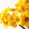 XIZHI 18 Pcs Artificial Flowers White Artificial Daffodils Flowers Real Touch Faux Silk Daffodils Flowers with Stems Flower Arrangement for Party Wedding Office Home Decor (Yellow) view 4