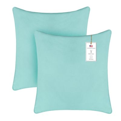 A1HC Set of 2 Luxurious Fine Soft Velvet Throw Pillow Covers Only, for Sofas, Beds, Vibrant Colors and Hidden Zipper. Enhance Your Living Space with Decorative Couch Pillow 20"x20", Aqua Blue