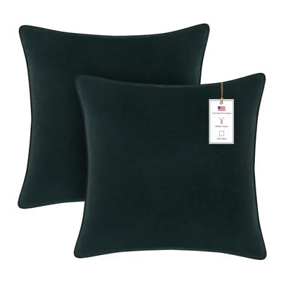 A1HC Set of 2 Luxurious Fine Soft Velvet Throw Pillow Covers Only, for Sofas, Beds, Vibrant Colors and Hidden Zipper. Enhance Your Living Space with Decorative Couch Pillow 18"x18", Green