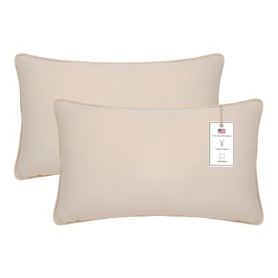 A1HC Set of 2 Luxurious Fine Soft Velvet Throw Pillow Covers Only, for Sofas, Beds, Vibrant Colors and Hidden Zipper. Enhance Your Living Space with Decorative Couch Pillow 12"x20", Beige