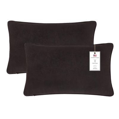 A1HC Set of 2 Luxurious Fine Soft Velvet Throw Pillow Covers Only, for Sofas, Beds, Vibrant Colors and Hidden Zipper. Enhance Your Living Space with Decorative Couch Pillow 12"x20", Iron Grey