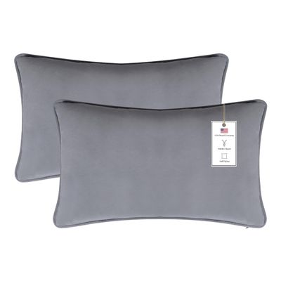 A1HC Set of 2 Luxurious Fine Soft Velvet Throw Pillow Covers Only, for Sofas, Beds, Vibrant Colors and Hidden Zipper. Enhance Your Living Space with Decorative Couch Pillow 12"x20", Dark Grey