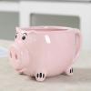 400ml/13.5oz Ceramic Pink Pig Coffee Cup Cartoon Animal 3D Relief Pig Water Cup for office home restaurant cafe teahouse-Pink Piglet-401-500ml view 4