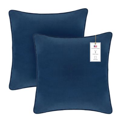 A1HC Set of 2 Luxurious Fine Soft Velvet Throw Pillow Covers Only, for Sofas, Beds, Vibrant Colors and Hidden Zipper. Enhance Your Living Space with Decorative Couch Pillow 24"x24", Teal