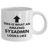 Amazing Sysadmin coffee mug, sysadmin gift, sysadmin mug, systems administrator gift mug,11oz ceramic mug view 2