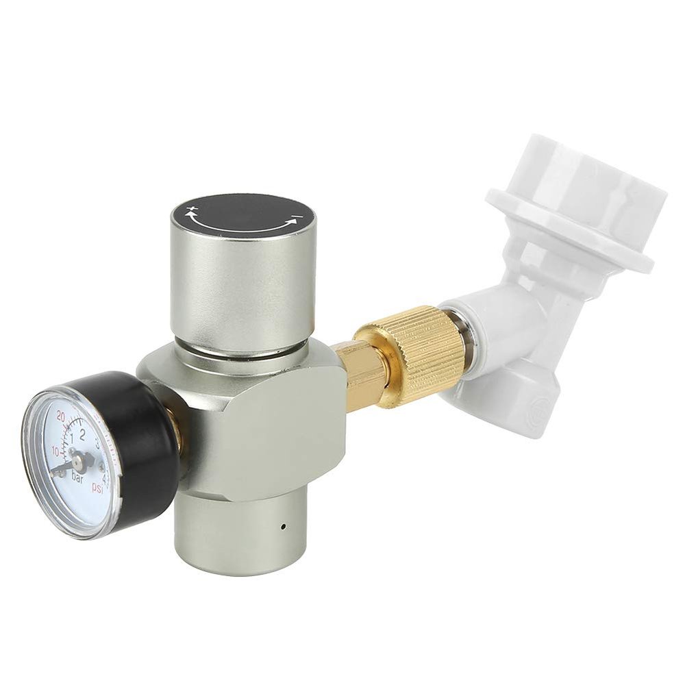 QANYEGN CO2 r, Mini Keg Regulator, Portable Beer Keg Dispenser, Gas s Lock Quick Disconnect for Home