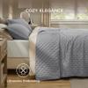 Bedsure Quilts Queen Size - Grey Bedspread Queen Size & Lightweight Comforter, Modern Coverlet with Clover Pattern, Ultra Soft All-Season Bedding, 90 x 96 Inches view 4