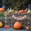 Fall Tiered Tray Decorations Pumpkins Maple Wood Tabletop Signs Happy Fall Wooden Blocks Fall Truck Acorn Decorations Ornaments Fall Thanksgiving Farmhouse Party Supplies(#1) view 2