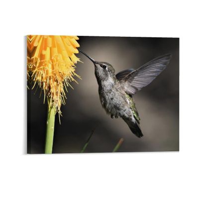 16"x20" Canvas Wall Art Hummingbird Bird Animal Flight Framed Canvas Prints Modern Decor for Home Bathroom Office Farmhouse Canvas Artwork Poster Housewarming Gift for New Homeowners