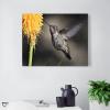 16"x20" Canvas Wall Art Hummingbird Bird Animal Flight Framed Canvas Prints Modern Decor for Home Bathroom Office Farmhouse Canvas Artwork Poster Housewarming Gift for New Homeowners view 3