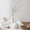 AISEER Scandinavian Style Ceramic Vase Frosted Simple Home TV Cabinet Creative Decoration Modern White Ceramic Vase, Small Narrow Neck Vases, Ceramic Flower Vases Decorative, Fireplace, Table Decor Va view 4