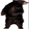 3D Wall Decal Bear Decal Removable Wall Sticker Home Decor Art Mural Grizzly Wild Animals 30" x 20" view 1