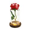 ASMEIR Eternal Flower Glass Cover Rose, Chinese Valentine's Day Creative Luminous Gift Proposal Decoration redrose view 1