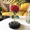 ASMEIR Eternal Flower Glass Cover Rose, Chinese Valentine's Day Creative Luminous Gift Proposal Decoration redrose view 2