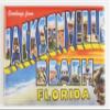 Greetings from Jacksonville Beach Florida Fridge Magnet (1.75 x 2.75 inches) view 1