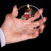 ALEINA ORNAMENT Personalized 2025 Family Christmas Glass Ornament, Unique Christmas Tree Ornament view 3