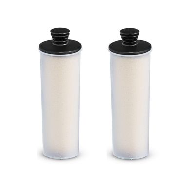 RAYPUR Clean Water Descaling Filter Premium Upright 2 PCS Steam Cleaner Water Purifier Descaling Cartridge Compatible for Karcher SC2 SC3