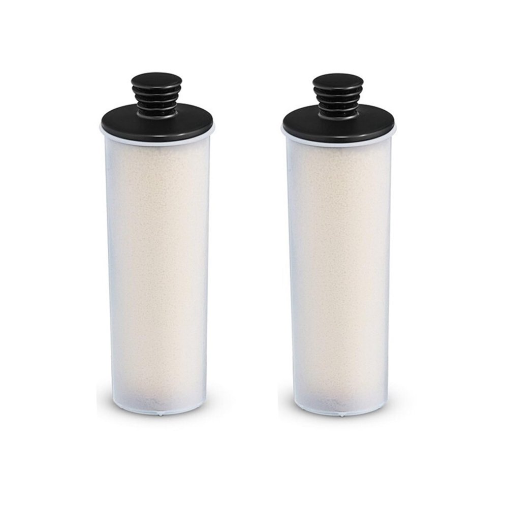 RAYPUR Clean Water Descaling Filter Premium Upright 2 PCS Steam Cleaner Water Purifier Descaling Cartridge Compatible for Karcher SC2 SC3