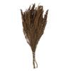 Vickerman 18-20" Brown Heather Bundle, 4-5 oz per Bundle, Natural Product, Rich Color and Texture, Ideal for Natural Arrangements, Dimensions May Vary Plant to Plant, Preserved view 1