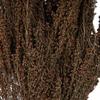 Vickerman 18-20" Brown Heather Bundle, 4-5 oz per Bundle, Natural Product, Rich Color and Texture, Ideal for Natural Arrangements, Dimensions May Vary Plant to Plant, Preserved view 3