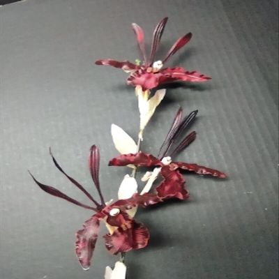Artificial Zygopetalum Orchid Stem