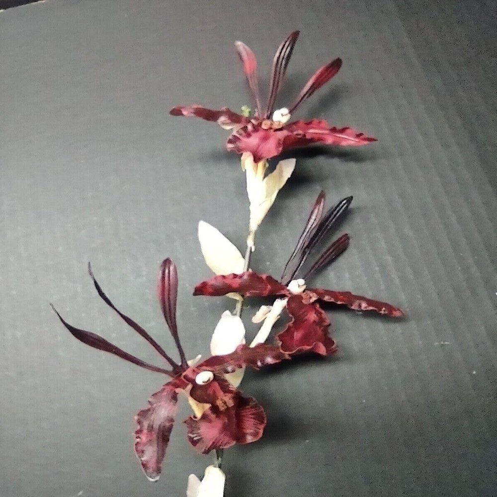 Artificial Zygopetalum Orchid Stem