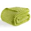 Bnuitland Fruit Green Flannel Throw Blanket (50X70 inches), 300 GSM Fleece Cozy Warm Soft Home Decor Lightweight Bed Sofa Blanket for Adults, Suitable for All Seasons. view 1
