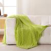 Bnuitland Fruit Green Flannel Throw Blanket (50X70 inches), 300 GSM Fleece Cozy Warm Soft Home Decor Lightweight Bed Sofa Blanket for Adults, Suitable for All Seasons. view 2