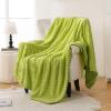 Bnuitland Fruit Green Flannel Throw Blanket (50X70 inches), 300 GSM Fleece Cozy Warm Soft Home Decor Lightweight Bed Sofa Blanket for Adults, Suitable for All Seasons. view 3