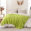 Bnuitland Fruit Green Flannel Throw Blanket (50X70 inches), 300 GSM Fleece Cozy Warm Soft Home Decor Lightweight Bed Sofa Blanket for Adults, Suitable for All Seasons. view 4