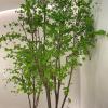 ESRADA Nordic Wind Simulation Green Plant Japanese Hanging Bell Plant Horse Drunk Wood Ornament Indoor Living Room Decoration Fake Tree Floor-to-Ceiling Potted Plant 2 * 1.4m view 2