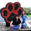 Anderson's Black and Red Spirit Paw Parade Float Decoration Kit, School Mascot, Homecoming, Sports, High School, College view 2