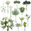 Cindeer 125 Pcs Artificial Greenery Stems Box Set with 11 Kinds Faux Greenery Stems Fake Eucalyptus for DIY Bridal Bouquets Arrangement Wedding Home view 1