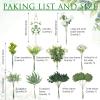 Cindeer 125 Pcs Artificial Greenery Stems Box Set with 11 Kinds Faux Greenery Stems Fake Eucalyptus for DIY Bridal Bouquets Arrangement Wedding Home view 3