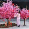 ESRADA Artificial Cherry Blossom Branch Flowers Stem Silk Flowers Bouquet Fake Spring Peach Flowers, for Office Home Wedding Decoration B-1.2mx1m view 3