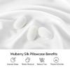 INFIIXSO Silk Pillow Cases 2 Pack Standard Size, Ultra Smooth & Soft Mulberry Silk Pillow Case for Hair and Skin, Breathable Cooling Silk Pillowcase with Hidden Zipper (White, 20x26 Inches) view 2