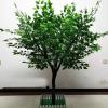 ESRADA Artificial Ficus Tree, Fake Plastic Ficus Plant in Pot with Durable Plastic Trunk, Faux Plant for Home Decor Office House Living Room Indoor 1.8mx1.5m view 1