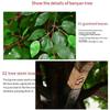 ESRADA Artificial Ficus Tree, Fake Plastic Ficus Plant in Pot with Durable Plastic Trunk, Faux Plant for Home Decor Office House Living Room Indoor 1.8mx1.5m view 2