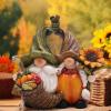 Hodao Harvest LoveThanksgiving Pumpkin Gnome Couple Embrace Figurines-Adorable Fall Pumpkin Gnomes Home Indoor Tabletop Decoration-Fall Thanksgiving Gifts view 3