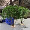 ESRADA Artificial Olive Tree,Tall Faux Potted Olive Silk Tree Horse Drunken Wood Branches and Fruits Artificial Green Plant for Home Decoration Office, Modern Living Room H: 3.5m view 1