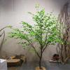 ESRADA Artificial Olive Tree,Tall Faux Potted Olive Silk Tree Horse Drunken Wood Branches and Fruits Artificial Green Plant for Home Decoration Office, Modern Living Room H: 3.5m view 3