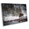 Hot Spring Bison/Buffalo in Snow - Print/Canvas/Acrylic/Metal (Acrylic Print, 16x20 Inches) view 1